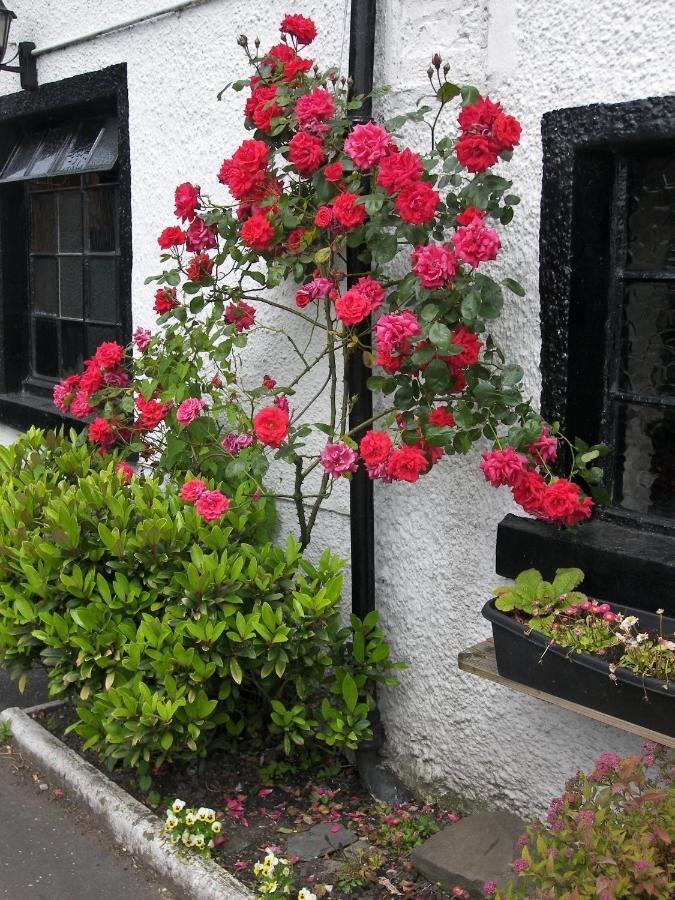 Lion And Unicorn Hotel Thornhill  Eksteriør billede